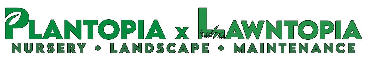 Lawntopia Maintenance 